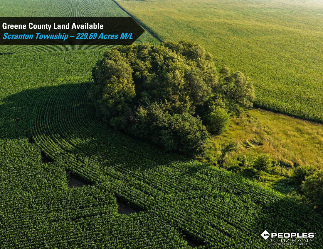 Listing Photo: Greene-County-Iowa-Land-Available-Scranton-Iowa-229-Acres-19614 (8)